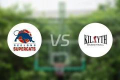 超级猫vs基尔塞斯眼镜蛇比分预测【2026/03/28】