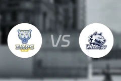 顿河畔罗斯托夫vs麦特鲁格比分预测【2026/02/10】