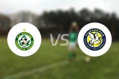 费尔干纳夫兹vs特尔梅兹比分预测【2025/11/02】