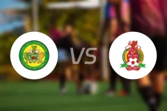 卡纳芬vs布里顿费里比分预测【2025/11/01】