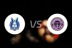 庄他武里vs玛哈沙拉堪联比分预测【2026/02/10】