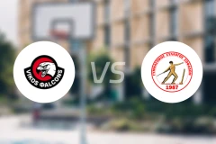 维科斯vs索菲特比分预测【2025/11/22】