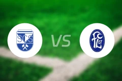 施瓦兹vsFC卢斯特瑙比分预测【2025/10/18】