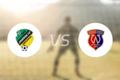 皮里奥威克vs韦尔科波尔斯基比分预测【2025/11/15】