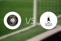 沃克索谱镇vs泰福特比分预测【2026/02/07】