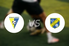 拉夫尼茨vs斯特利费宁比分结果战报【2024/08/24】
