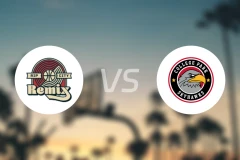 撕裂之城混音vs科利奇帕克天鹰比分预测【2026/02/08】