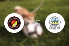 艾贝斯费特联vs多佛比分预测【2026/04/06】