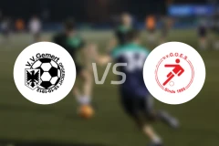 戈马特vsGOES比分预测【2025/12/14】