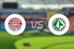 南蒂罗尔vs阿维利诺比分预测【2025/11/29】