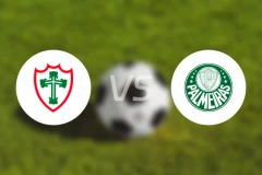 葡萄牙人vs帕尔梅拉斯比分预测【2026/01/11】