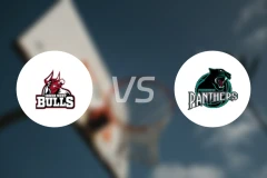 内西公牛女篮vs彭里斯黑豹女篮比分预测【2026/04/11】