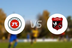 萨利塔斯vsCFFEB比分预测【2025/11/15】