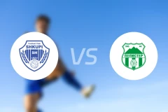 斯库皮vs佩利斯特比分预测【2025/11/22】