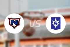 拿尔维克女篮vs斯特贾南女篮比分预测【2025/12/04】