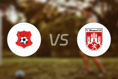 魏登条顿尼亚vs亨内夫比分预测【2025/11/30】