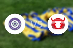 帕尔梅拉斯港vs托罗斯尼泽比分预测【2026/01/18】