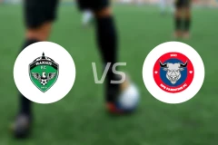 马瑙斯(AM)vs帕林廷斯比分预测【2026/01/13】