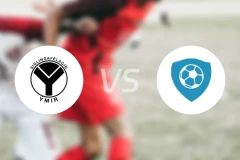 伊米尔vs弗利克比分预测【2026/03/21】