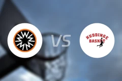 玛巴斯vs哈丁格比分预测【2025/11/29】