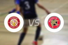 斯蒂夫尼奇vs沃尔索尔比分预测【2025/12/03】