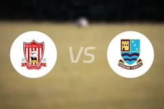 肖林vs法纳姆城比分预测【2026/04/11】