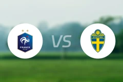 法国女足vs瑞典女足比分结果战报【2025/11/29】