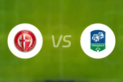 帕多瓦vs费拉尔皮沙洛比分预测【2024/08/19】