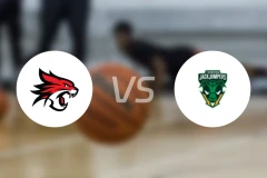 珀斯野猫vs塔斯马尼亚跳伞蚁比分预测【2025/11/21】