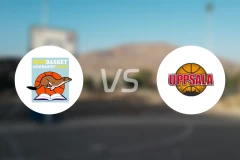 RIG卢利女篮vs乌普萨拉女篮比分预测【2026/03/21】