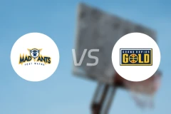 印第安纳疯蚁vs大急流城黄金比分预测【2024/12/14】