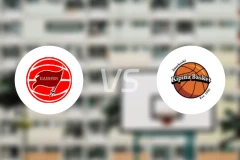 突袭者vs基皮纳比分预测【2026/02/07】