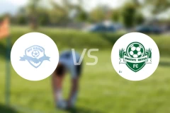 索耶联合vs瓦特联队比分预测【2026/01/25】