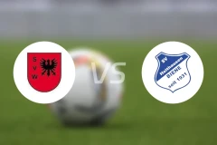 威廉港vs霍尔特豪森蜜蜂比分预测【2026/03/07】