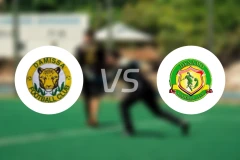 达米萨vs帕拉库迪纳摩比分预测【2024/10/16】