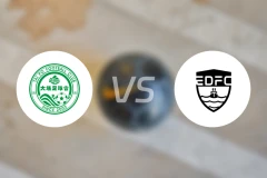 大埔vs东区比分预测【2025/11/22】