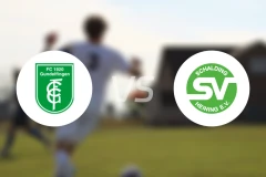 贡德尔芬根vs斯切丁喜宁比分预测【2026/03/28】