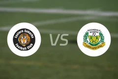 布里斯班东郊vs罗切达尔流浪比分预测【2026/04/25】