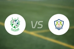 帕兰德森vs奥兰乔FC比分预测【2025/11/27】