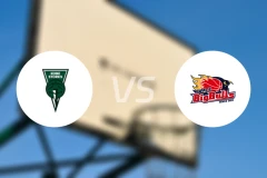 神户鹳鸟vs岩手大公牛比分预测【2025/11/15】