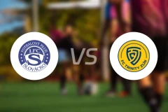 斯洛瓦茨科vs兹林比分预测【2025/11/24】