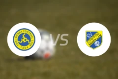 第一维也纳vs斯特利费宁比分预测【2024/08/28】