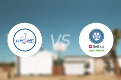 卡高罗斯梅赫伦vs贝尔菲乌斯山比分预测【2026/02/19】