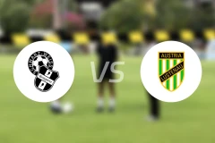 布雷根茨vs奥地利卢斯特瑙比分结果战报【2025/11/08】