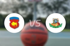 比斯特vs努伯比分预测【2026/01/31】