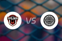 斯波尼亚vs弗罗茨瓦夫比分预测【2026/01/04】