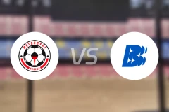 利比克vs沃尔纳诺夫哥罗德比分预测【2026/04/25】