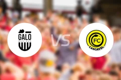 加洛马林加vs卡斯卡韦尔比分预测【2026/01/12】