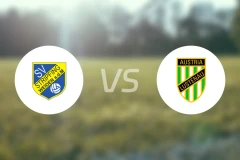 斯特利费宁vs奥地利卢斯特瑙比分预测【2026/02/28】