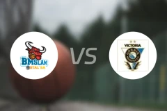 奥斯特罗vs瓦布希克比分预测【2024/11/30】